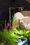 Aquascape AquaGarden Mini Pond Kit Accessories