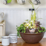 Aquascape AquaGarden Tabletop Fountain Kit