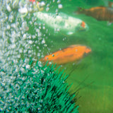 Oase OxyTex Underwater Biofilter