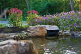 Atlantic Oasis Skimmer