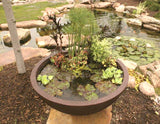 Aquascape Patio Pond European Terra Cotta