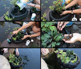 Aquascape Floating Plant Island