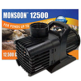 Anjon Manufacturing Monsoon Pumps