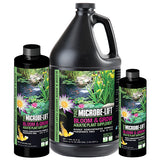 Microbe-Lift Bloom & Grow