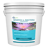 Aquascape Beneficial Bacteria - Dry