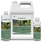 Aquascape Algaecide