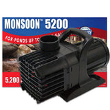 Anjon Manufacturing Monsoon Pumps