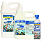 API Pond Microbial Algae Clean